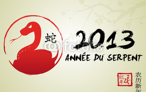 2013 ANNEE DU SERPENT